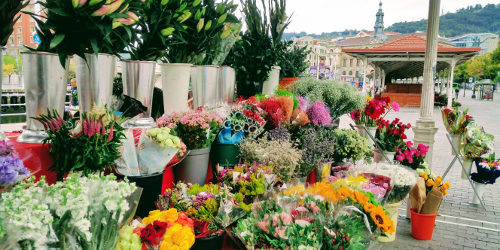 Flower market Bilbao, Bizkaia marzo