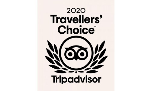 TripAdvisor Travellers Choice 2020 z 2020 Travellers' Choice by Tripadvisor to Aitor Delgado Tours
