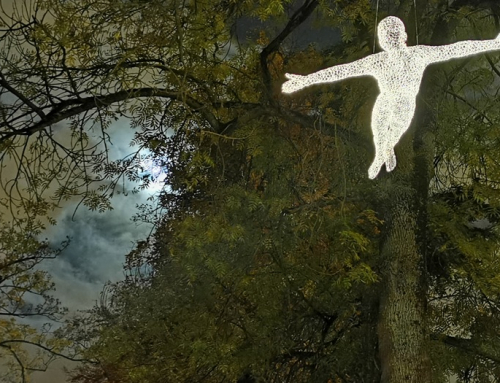 Basque Culture Essentials for a Refined February 2026